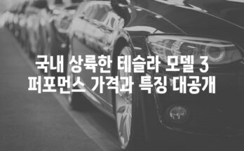 국내 상륙한 테슬라 모델 3 퍼포먼스 가격과 특징 대공개