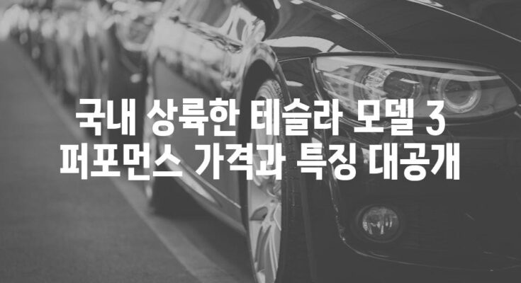 국내 상륙한 테슬라 모델 3 퍼포먼스 가격과 특징 대공개