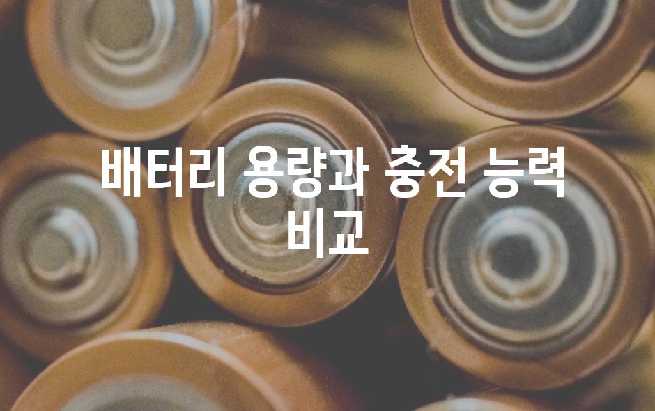  배터리 용량과 충전 능력 비교