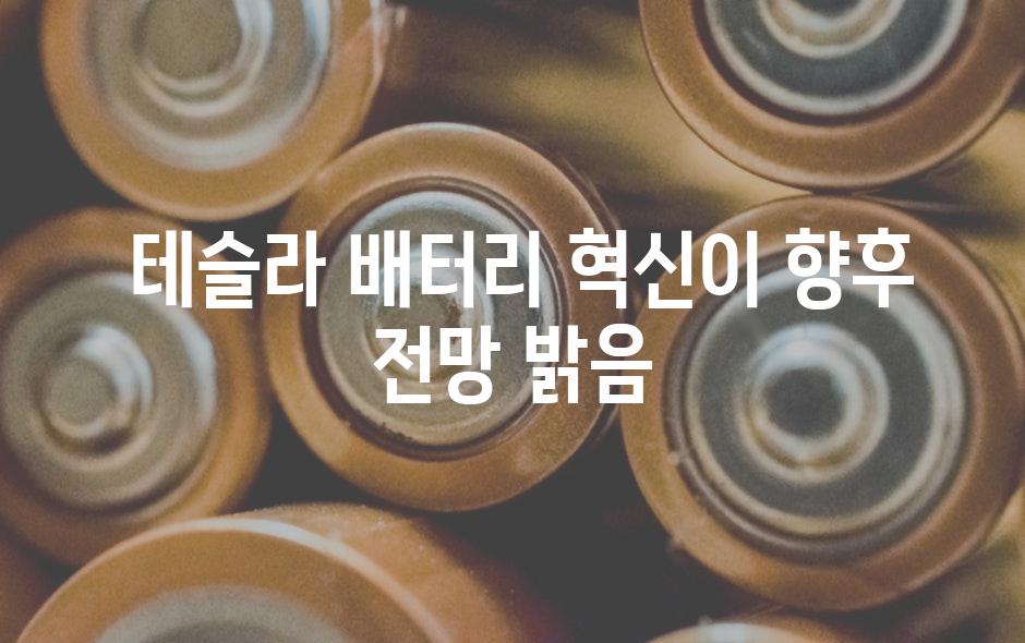  테슬라 배터리 혁신이 향후 전망 밝음