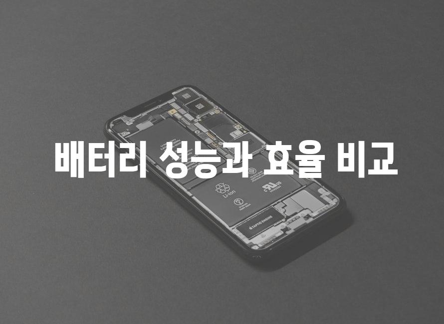  배터리 성능과 효율 비교