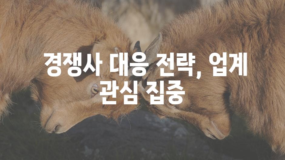  경쟁사 대응 전략, 업계 관심 집중