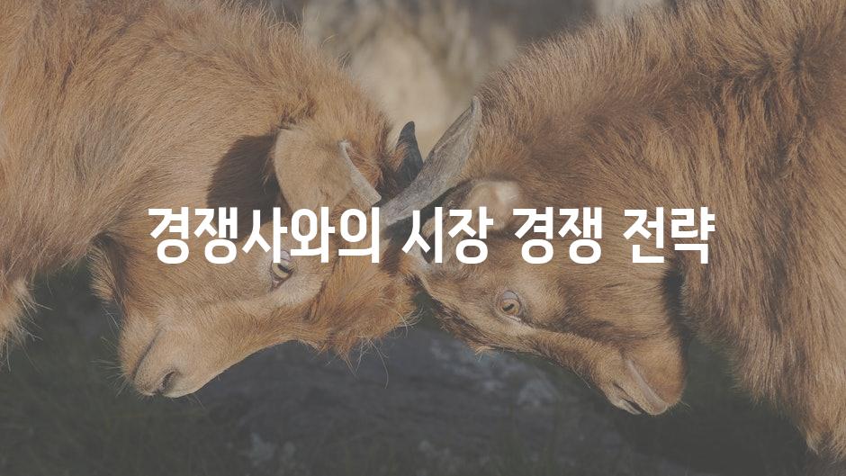  경쟁사와의 시장 경쟁 전략