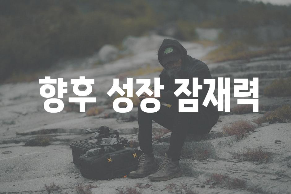  향후 성장 잠재력