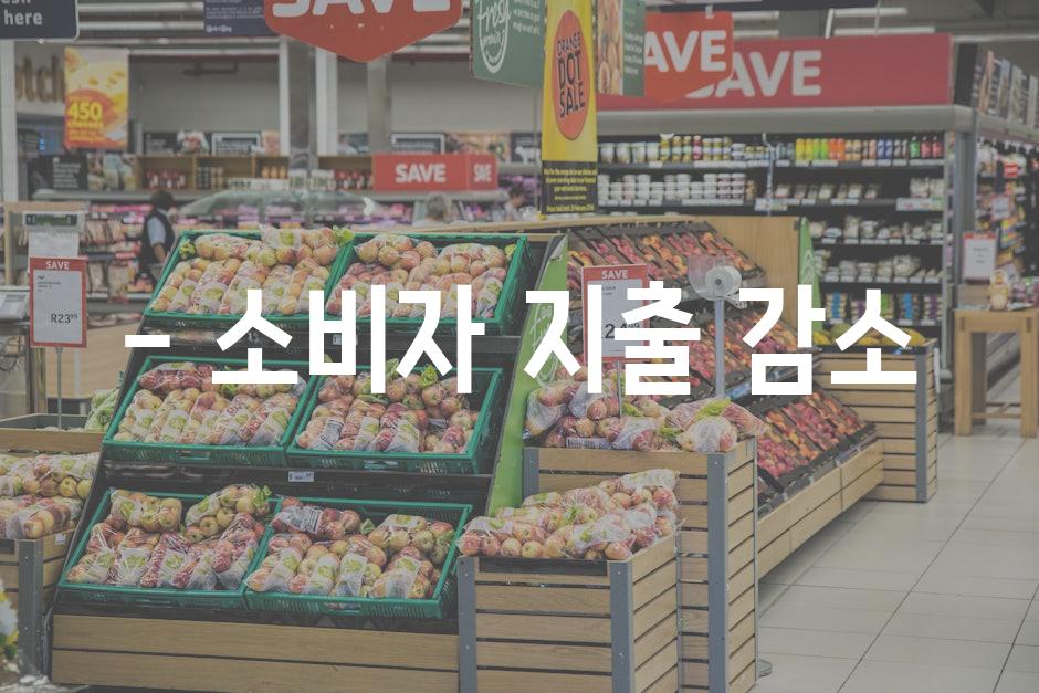 - 소비자 지출 감소