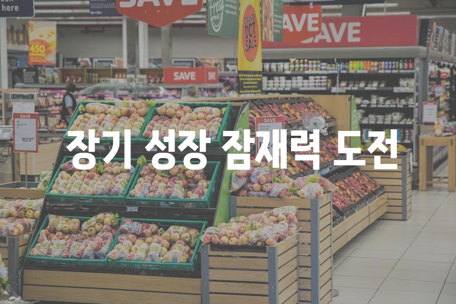  장기 성장 잠재력 도전