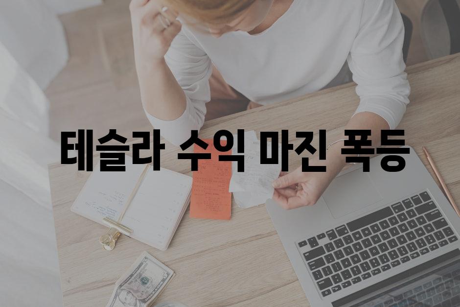  테슬라 수익 마진 폭등