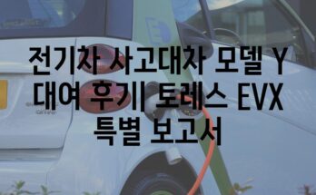 전기차 사고대차 모델 Y 대여 후기| 토레스 EVX 특별 보고서