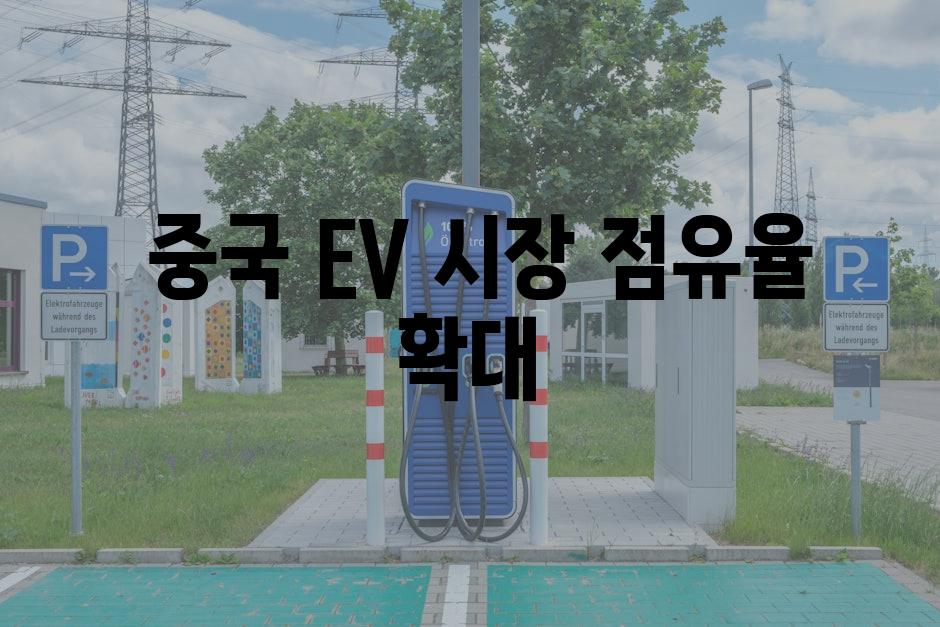  중국 EV 시장 점유율 확대