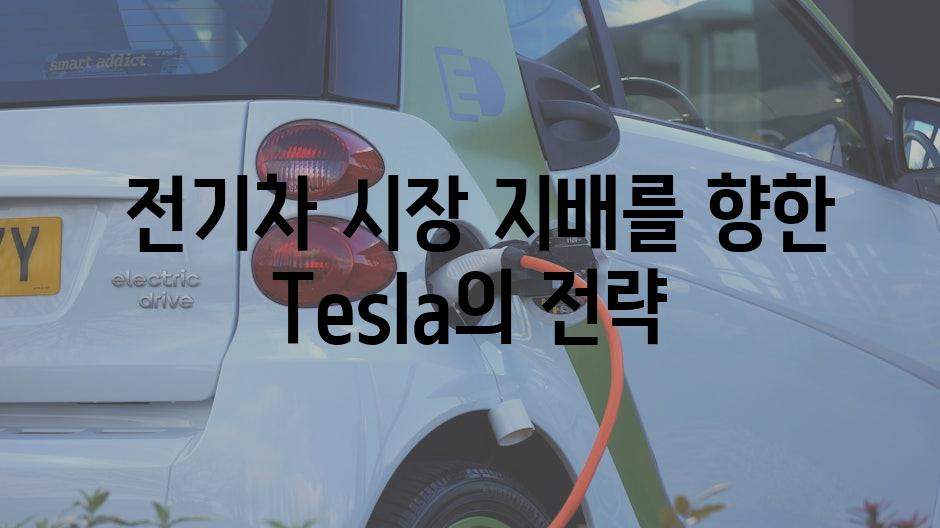  전기차 시장 지배를 향한 Tesla의 전략