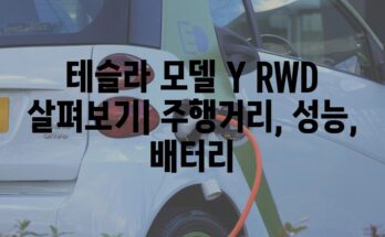 테슬라 모델 Y RWD 살펴보기| 주행거리, 성능, 배터리