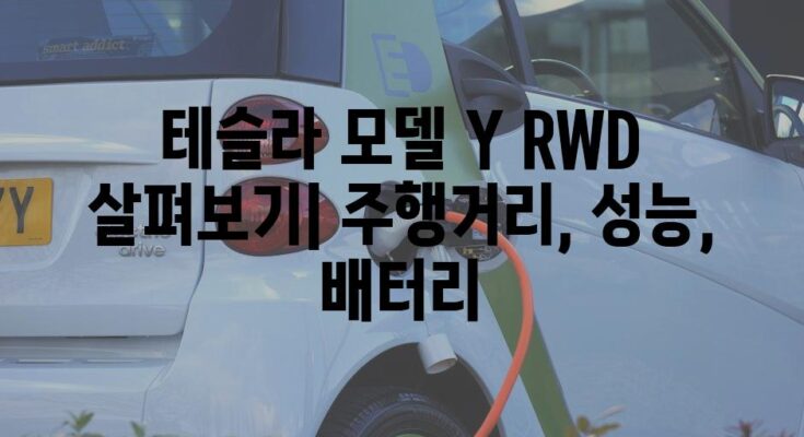 테슬라 모델 Y RWD 살펴보기| 주행거리, 성능, 배터리