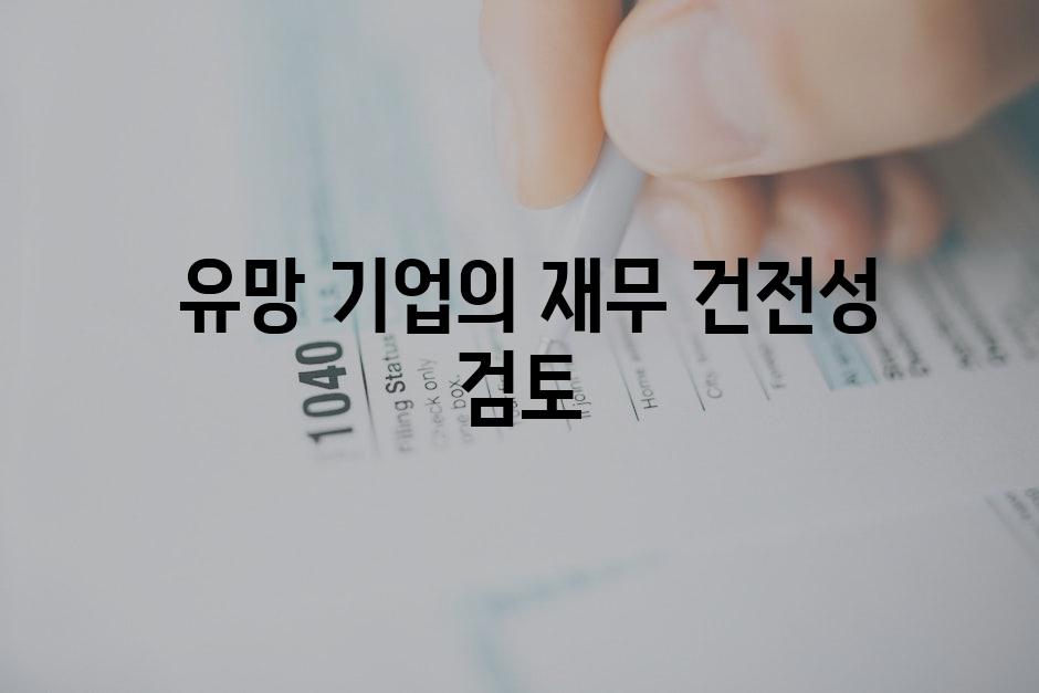  유망 기업의 재무 건전성 검토