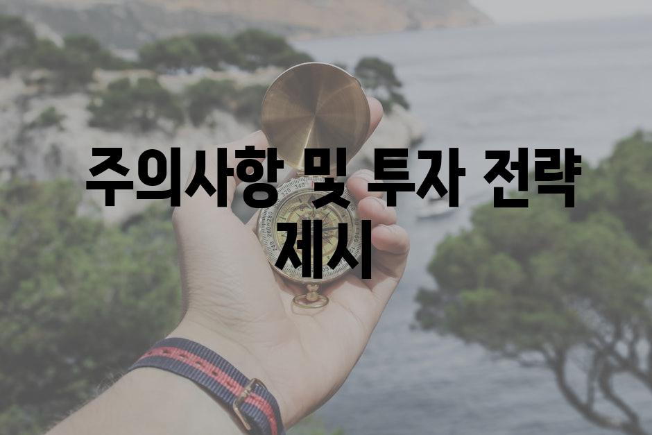  주의사항 및 투자 전략 제시