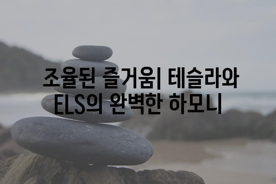  조율된 즐거움| 테슬라와 ELS의 완벽한 하모니