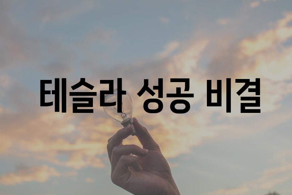  테슬라 성공 비결