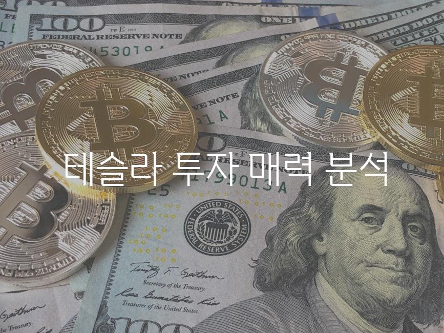  테슬라 투자 매력 분석