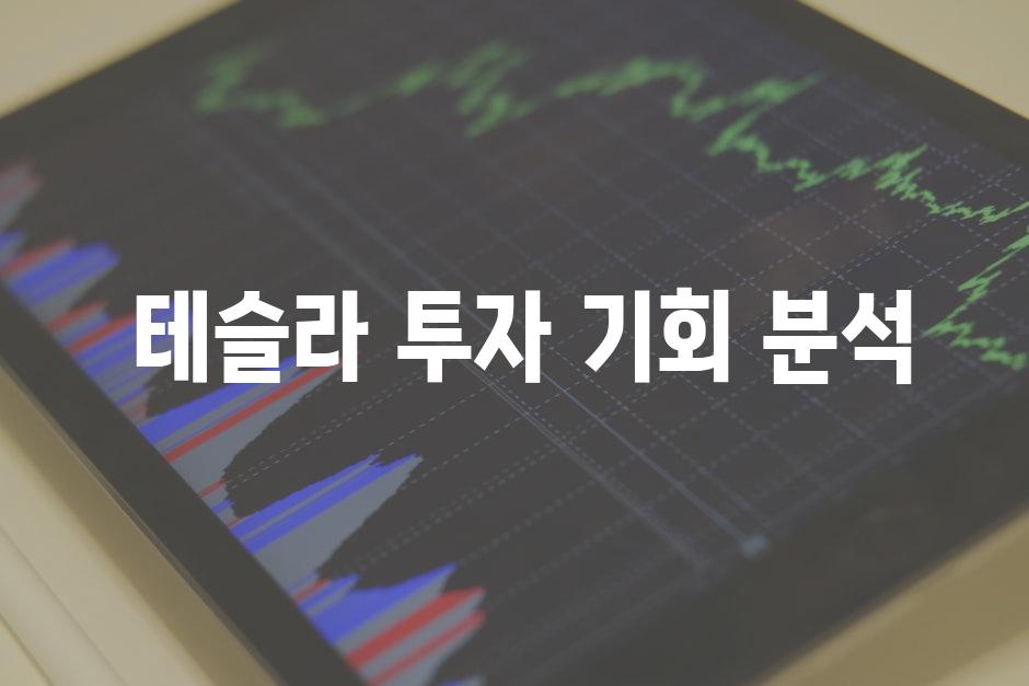  테슬라 투자 기회 분석