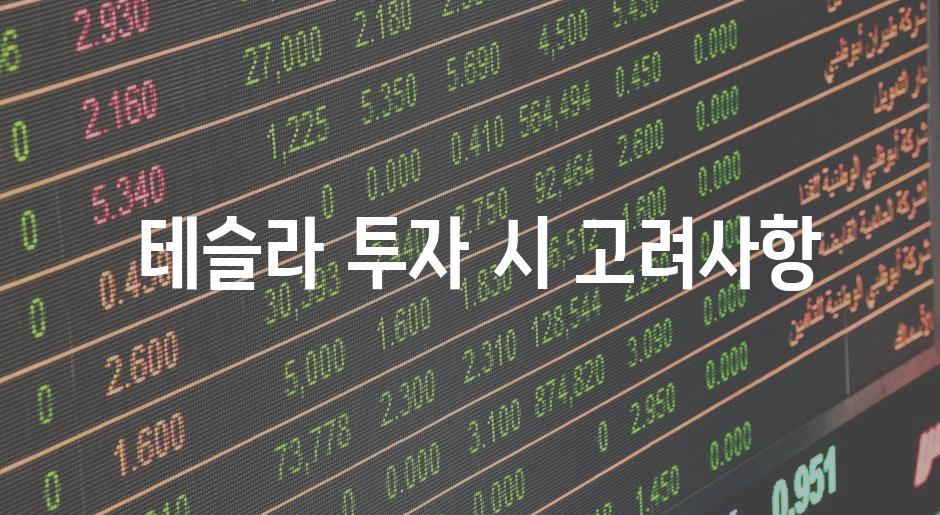  테슬라 투자 시 고려사항