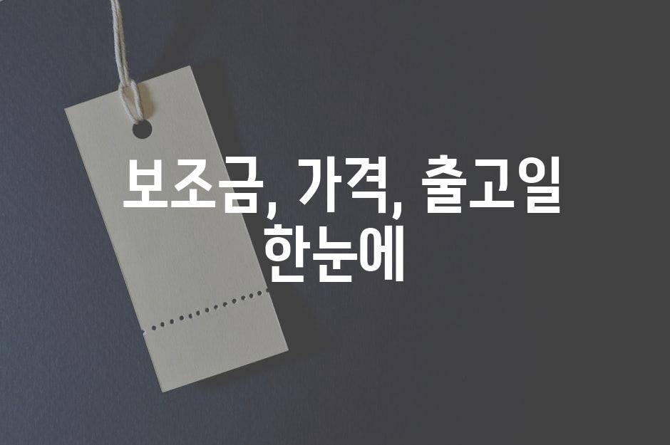  보조금, 가격, 출고일 한눈에