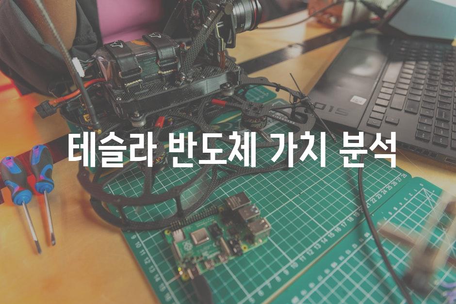  테슬라 반도체 가치 분석