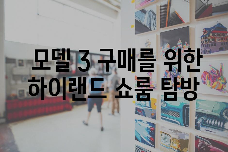  모델 3 구매를 위한 하이랜드 쇼룸 탐방