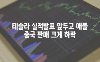 테슬라 실적발표 앞두고 애플 중국 판매 크게 하락