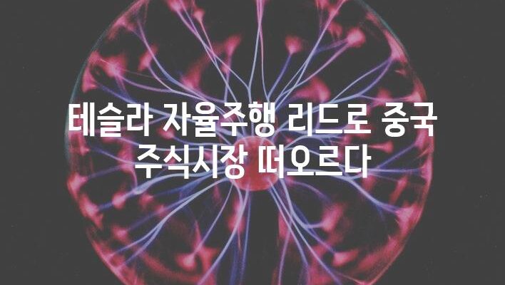 테슬라 자율주행 리드로 중국 주식시장 떠오르다