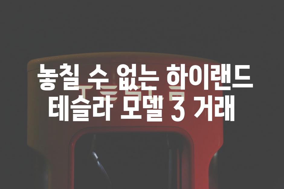  놓칠 수 없는 하이랜드 테슬라 모델 3 거래