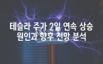 테슬라 주가 2일 연속 상승 원인과 향후 전망 분석