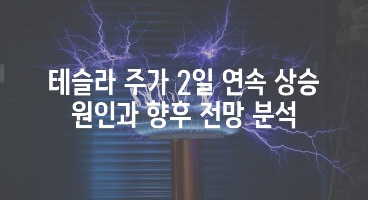 테슬라 주가 2일 연속 상승 원인과 향후 전망 분석