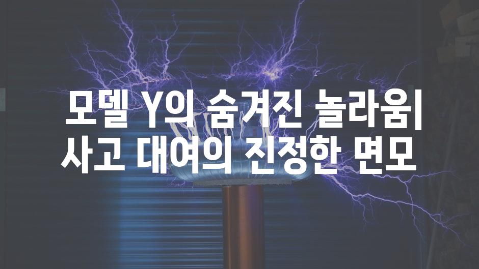  모델 Y의 숨겨진 놀라움| 사고 대여의 진정한 면모