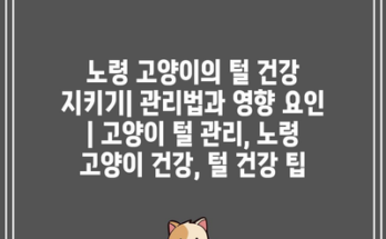 노령 고양이의 털 건강 지키기| 관리법과 영향 요인 | 고양이 털 관리, 노령 고양이 건강, 털 건강 팁