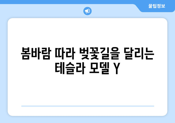 벚꽃 만개와 함께 달리는 테슬라 모델 Y| 봄날의 드라이브 | 테슬라 모델 Y, 벚꽃 드라이브, 봄 여행, 전기차