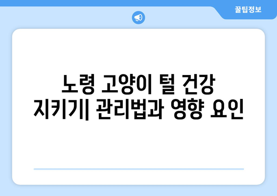 노령 고양이의 털 건강 지키기| 관리법과 영향 요인 | 고양이 털 관리, 노령 고양이 건강, 털 건강 팁