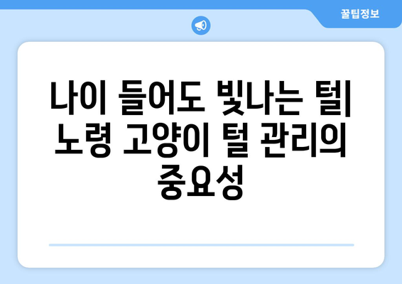 노령 고양이의 털 건강 지키기| 관리법과 영향 요인 | 고양이 털 관리, 노령 고양이 건강, 털 건강 팁