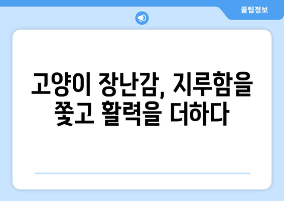 고양이 장난감으로 건강하고 오래 사는 고양이 만들기| 건강과 웰빙 증진 가이드 | 고양이 장난감, 장수, 건강, 웰빙