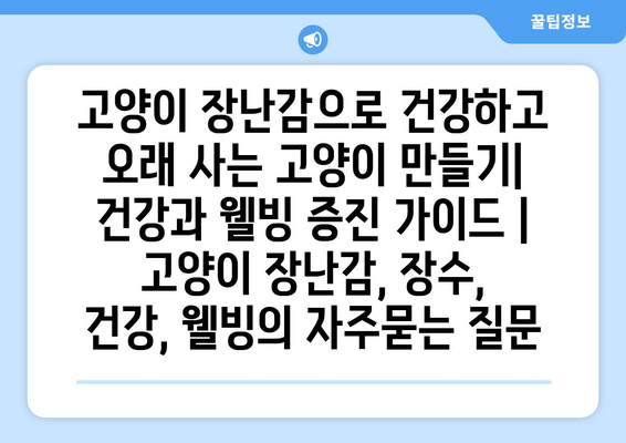 고양이 장난감으로 건강하고 오래 사는 고양이 만들기| 건강과 웰빙 증진 가이드 | 고양이 장난감, 장수, 건강, 웰빙