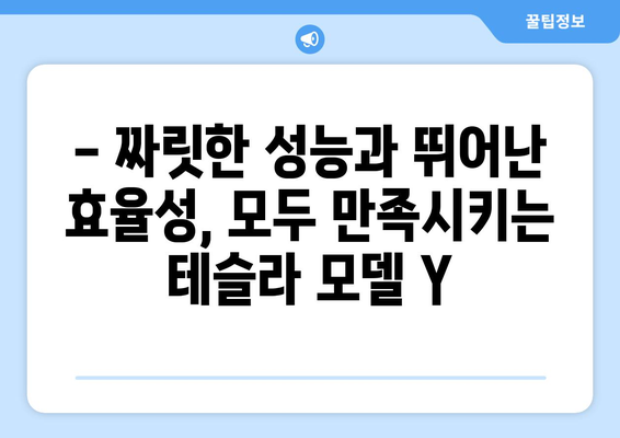 테슬라 모델 Y 퍼포먼스 빠른 출고, 지금 바로 만나보세요! | 테슬라, 모델 Y, 퍼포먼스, 빠른 출고, 전기차