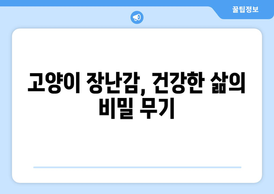 고양이 장난감으로 건강하고 오래 사는 고양이 만들기| 건강과 웰빙 증진 가이드 | 고양이 장난감, 장수, 건강, 웰빙