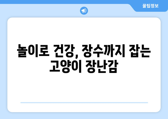 고양이 장난감으로 건강하고 오래 사는 고양이 만들기| 건강과 웰빙 증진 가이드 | 고양이 장난감, 장수, 건강, 웰빙