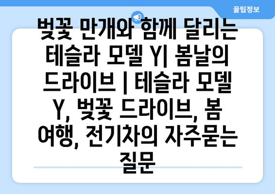 벚꽃 만개와 함께 달리는 테슬라 모델 Y| 봄날의 드라이브 | 테슬라 모델 Y, 벚꽃 드라이브, 봄 여행, 전기차