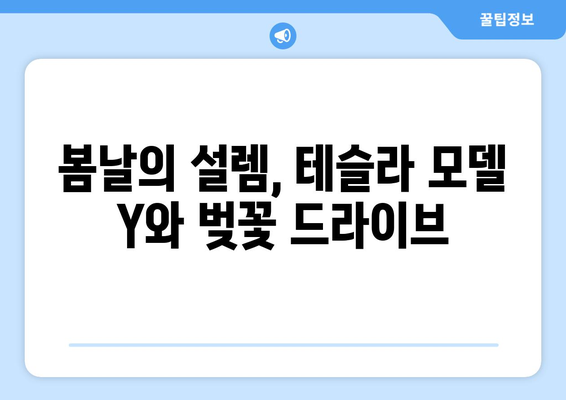 벚꽃 만개와 함께 달리는 테슬라 모델 Y| 봄날의 드라이브 | 테슬라 모델 Y, 벚꽃 드라이브, 봄 여행, 전기차