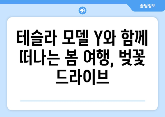 벚꽃 만개와 함께 달리는 테슬라 모델 Y| 봄날의 드라이브 | 테슬라 모델 Y, 벚꽃 드라이브, 봄 여행, 전기차