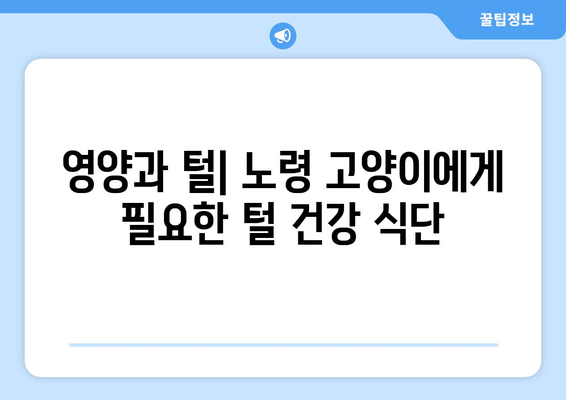 노령 고양이의 털 건강 지키기| 관리법과 영향 요인 | 고양이 털 관리, 노령 고양이 건강, 털 건강 팁