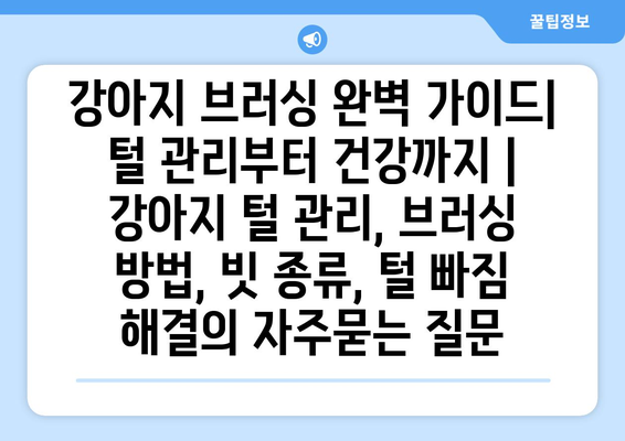 강아지 브러싱 완벽 가이드| 털 관리부터 건강까지 | 강아지 털 관리, 브러싱 방법, 빗 종류, 털 빠짐 해결