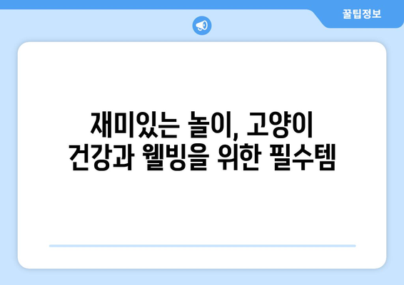 고양이 장난감으로 건강하고 오래 사는 고양이 만들기| 건강과 웰빙 증진 가이드 | 고양이 장난감, 장수, 건강, 웰빙