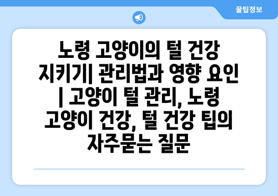 노령 고양이의 털 건강 지키기| 관리법과 영향 요인 | 고양이 털 관리, 노령 고양이 건강, 털 건강 팁