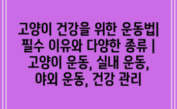 고양이 건강을 위한 운동법| 필수 이유와 다양한 종류 | 고양이 운동, 실내 운동, 야외 운동, 건강 관리