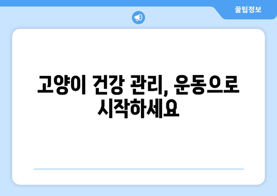 고양이 건강을 위한 운동법| 필수 이유와 다양한 종류 | 고양이 운동, 실내 운동, 야외 운동, 건강 관리